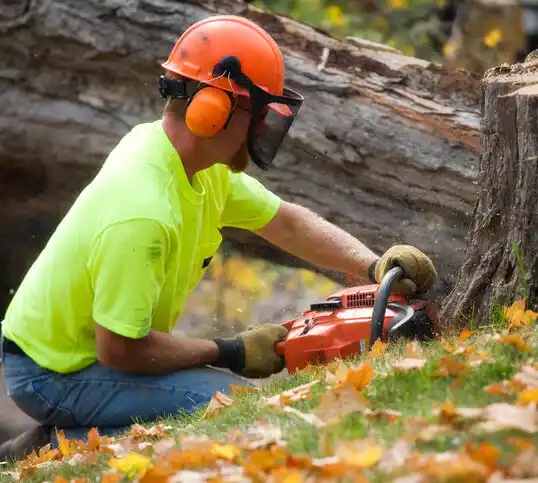 tree services Stantonsburg